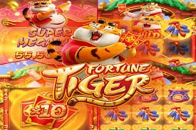 bijli casino